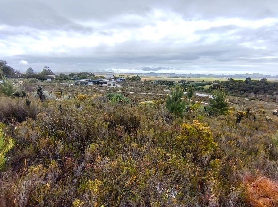 0 Bedroom Property for Sale in Baardskeerdersbos Western Cape